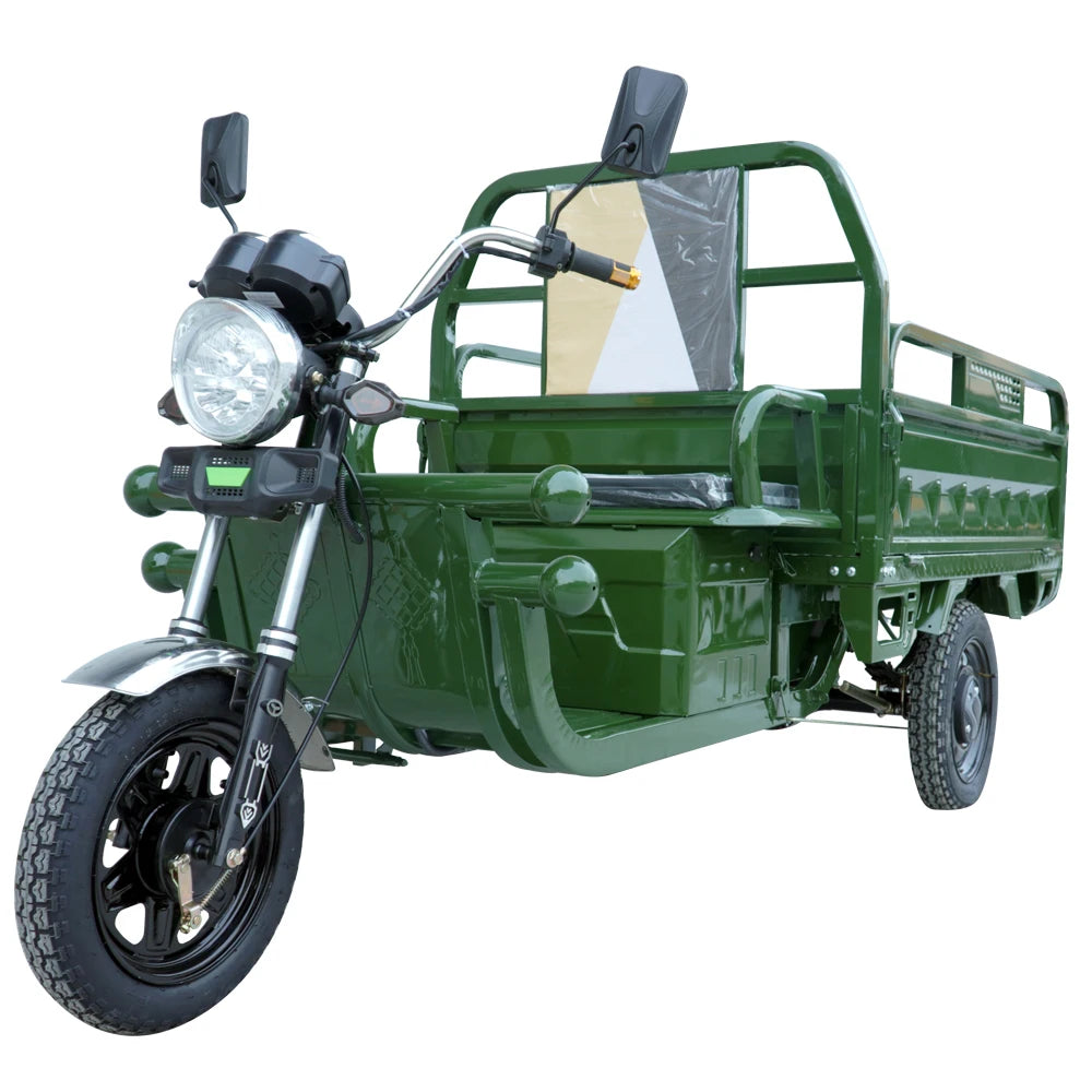 1200W High Three Wheel Cargo Motor Tricycle Motor Cycle with CE