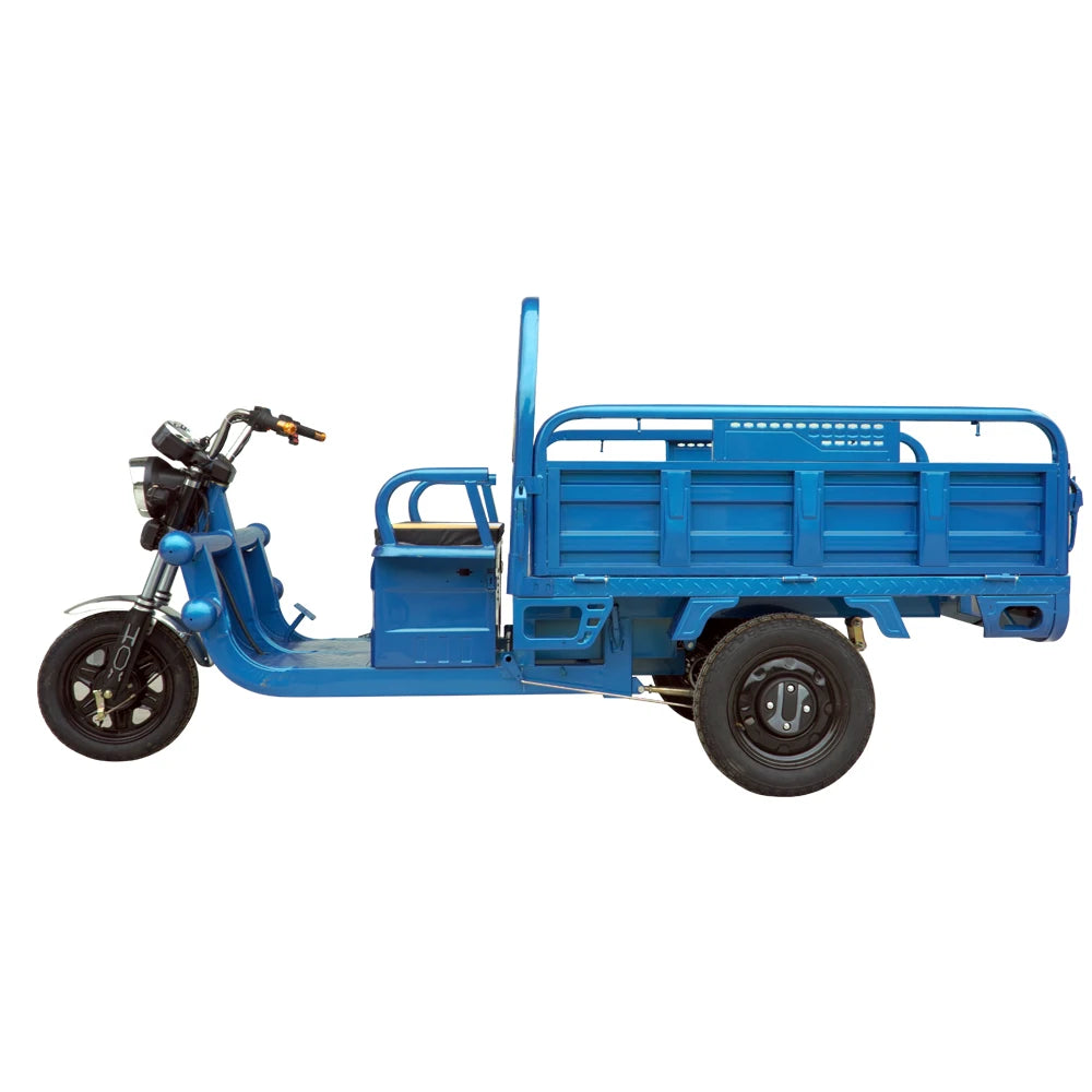 1200W High Three Wheel Cargo Motor Tricycle Motor Cycle with CE