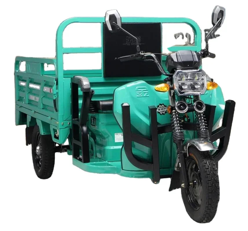 Electric Tricycle 3 Wheel Cargo Electric Tricycles Motorcycle Three Wheel Adult