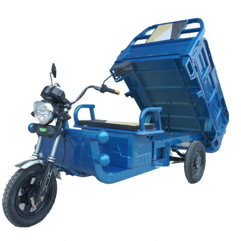 1200W High Three Wheel Cargo Motor Tricycle Motor Cycle with CE