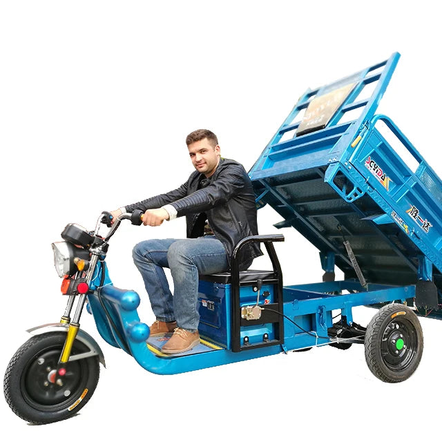1200W High Three Wheel Cargo Motor Tricycle Motor Cycle with CE