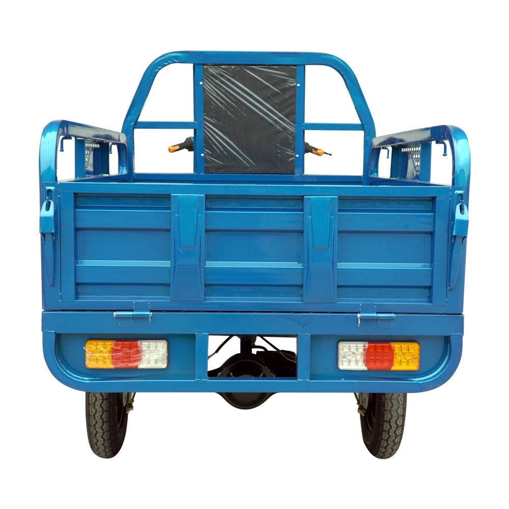 1200W High Three Wheel Cargo Motor Tricycle Motor Cycle with CE