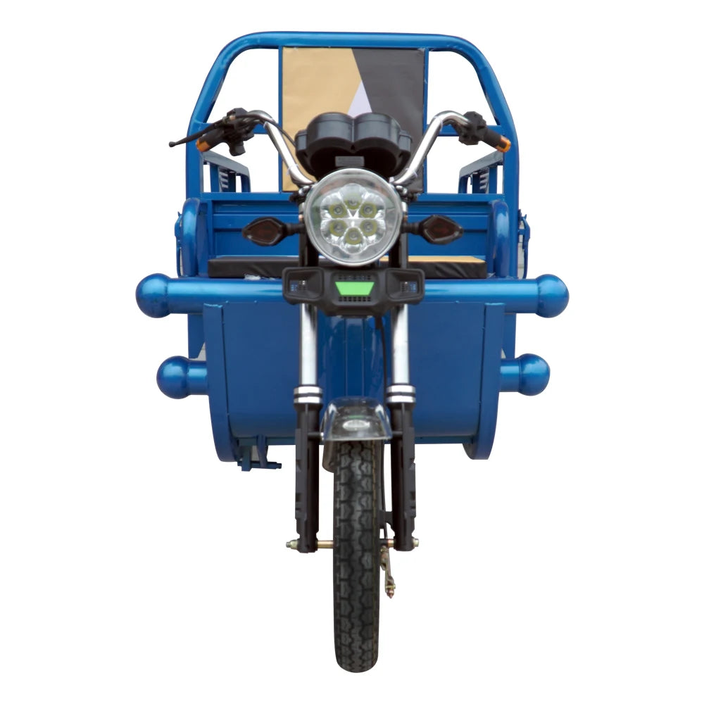 1200W High Three Wheel Cargo Motor Tricycle Motor Cycle with CE