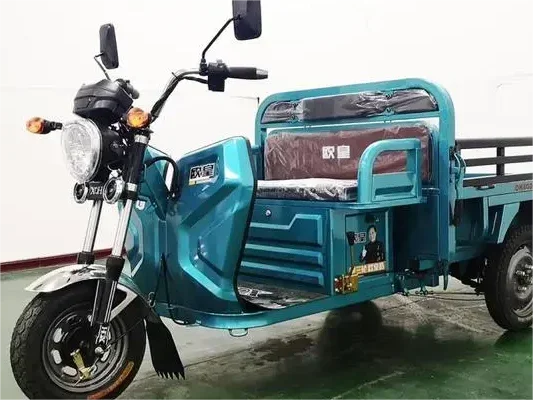 Electric Tricycle 3 Wheel Cargo Electric Tricycles Motorcycle Three Wheel Adult
